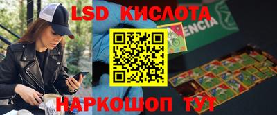 дживик Новодвинск