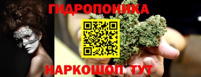 apvp Новозыбков