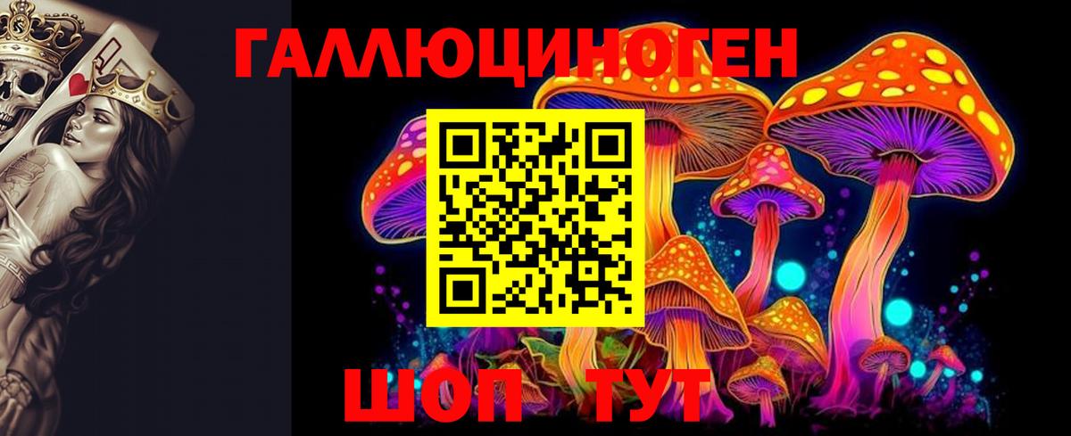 Псилоцибиновые грибы MAGIC MUSHROOMS  Галлюциногенные грибы мицелий  Вход с VPN  Рязань 